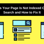 5 Reasons Your Page Is Not Indexed On Google Search and How to Fix It