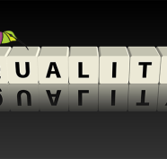 The Essence of SEO: What Is High-Quality Content?