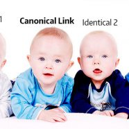 What Are Canonical Links And Why You Should Canonicalize Your URL