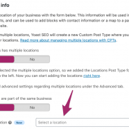 Yoast Local SEO 13.9: Primary location & shared properties