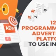 12 Best Programmatic Advertising Platforms to Use in 2022