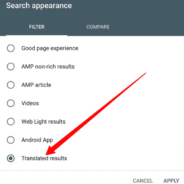 Google Search Console adds translated results search appearance filter